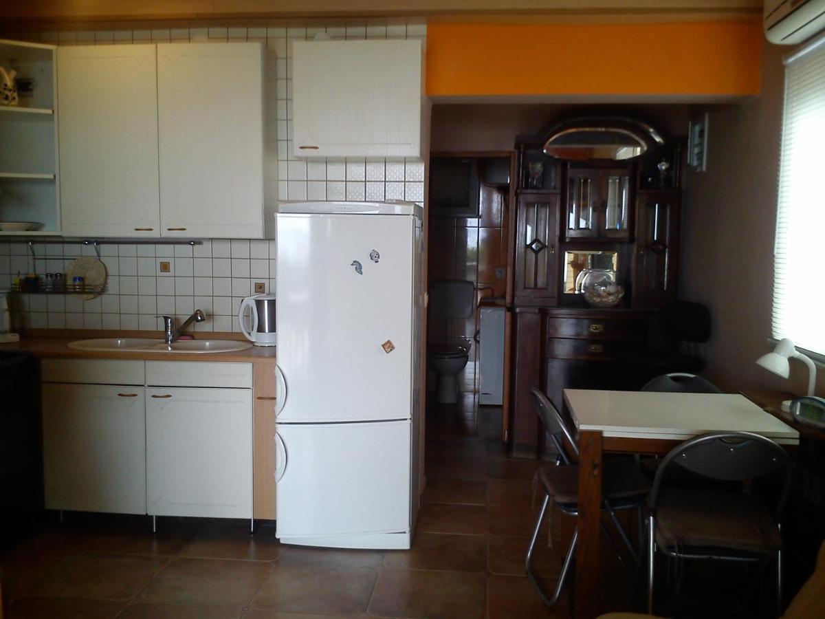 Apartman Atanasov سيلين المظهر الخارجي الصورة